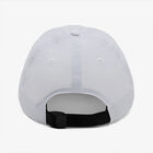 LAH00453 '47 Clean Up Run Hat