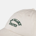 LAH43014 6 Panel Seasonal Hat